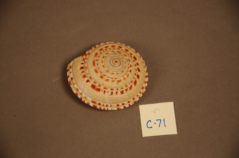 Stacks Image 842